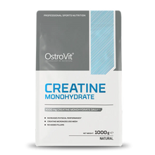 Cargar imagen en el visor de la galería, CREATINA MONOHIDRATADA 1 KG