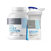 Cargar imagen en el visor de la galería, PROTEINA 100% WHEY 2000GRS + CREATINA 300GRS + SHAKER