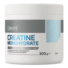 Cargar imagen en el visor de la galería, CREATINE MONOHYDRATE OSTROVIT 300 GRS SABOR