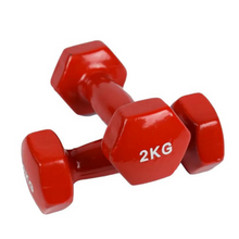 Cargar imagen en el visor de la galería, Par Mancuernas Vinilo 2 kg cada una