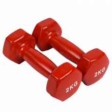 Cargar imagen en el visor de la galería, Par Mancuernas Vinilo 2 kg cada una