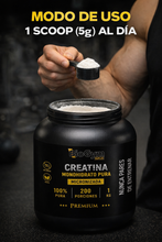 Cargar imagen en el visor de la galería, CREATINA MONOHIDRATO 1KG BIOGYM + SHAKER GRATIS | 200 PORCIONES (HASTA 6,6 MESES)
